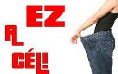 Egyedülálló vagy? Egyedülálló vagy?